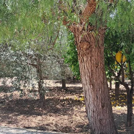 Tatil Evi Profumo Di Mare Fronte *