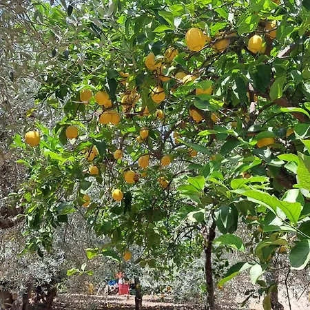 Tatil Evi Profumo Di Mare Fronte Lido di Noto