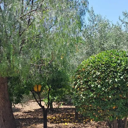 Profumo Di Mare Fronte *