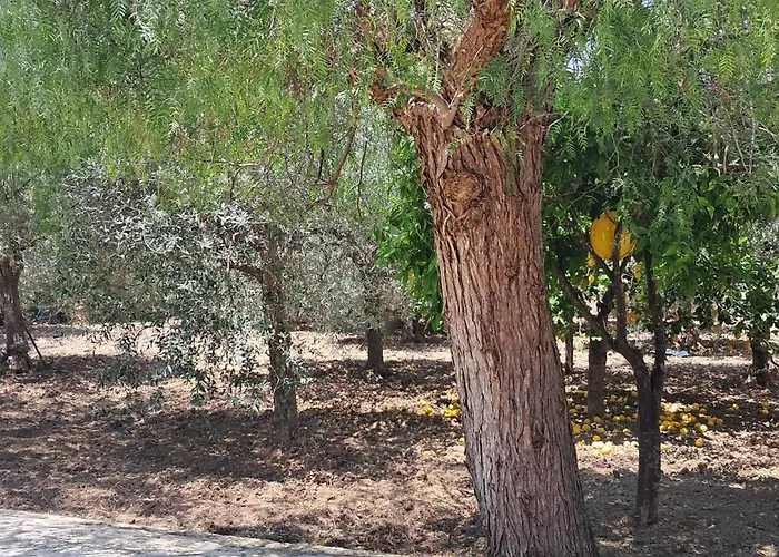 Tatil Evi Profumo Di Mare Fronte *