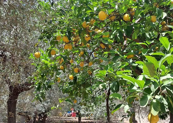 Tatil Evi Profumo Di Mare Fronte Lido di Noto