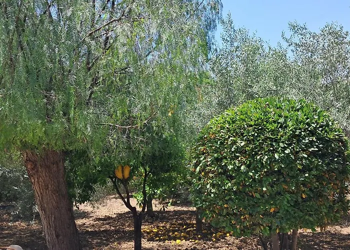 Profumo Di Mare Fronte *