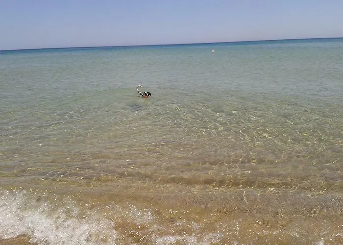 Profumo Di Mare Fronte * Lido di Noto